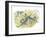 Vervet or Green Monkeys Chlorocebus Aethiops Stealing Corn-null-Framed Giclee Print