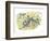 Vervet or Green Monkeys Chlorocebus Aethiops Stealing Corn-null-Framed Giclee Print