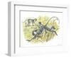 Vervet or Green Monkeys Chlorocebus Aethiops Stealing Corn-null-Framed Giclee Print