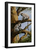 Vervet Pair-Trevor V. Swanson-Framed Giclee Print