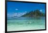 Very clear turquoise waters on Monuriki Island (Cast Away Island), Mamanuca Islands, Fiji, South Pa-Michael Runkel-Framed Photographic Print