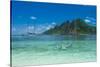 Very clear turquoise waters on Monuriki Island (Cast Away Island), Mamanuca Islands, Fiji, South Pa-Michael Runkel-Stretched Canvas