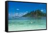 Very clear turquoise waters on Monuriki Island (Cast Away Island), Mamanuca Islands, Fiji, South Pa-Michael Runkel-Framed Stretched Canvas