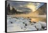 Very cold sunrise over the South Fork of the Flathead River in Hungry Horse, Montana, USA-Chuck Haney-Framed Stretched Canvas