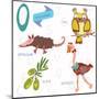 Very Cute Alphabet. O Letter. Opossum, Ostrich, Owl, Olive.-Ovocheva-Mounted Art Print