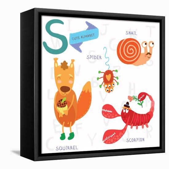 Very Cute Alphabet. S Letter.Squirrel, Scorpion, Spider, Snail.-Ovocheva-Framed Stretched Canvas