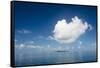 Very flat ocean, Mamanuca Islands, Fiji, South Pacific-Michael Runkel-Framed Stretched Canvas