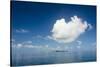 Very flat ocean, Mamanuca Islands, Fiji, South Pacific-Michael Runkel-Stretched Canvas
