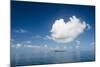 Very flat ocean, Mamanuca Islands, Fiji, South Pacific-Michael Runkel-Mounted Photographic Print