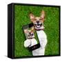 Very Funny Dog-Javier Brosch-Framed Stretched Canvas