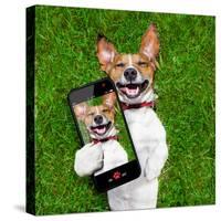 Very Funny Dog-Javier Brosch-Stretched Canvas
