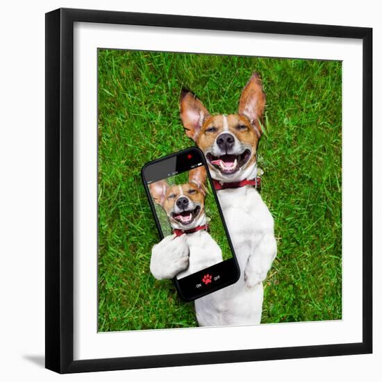 Very Funny Dog-Javier Brosch-Framed Premium Photographic Print