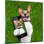 Very Funny Dog-Javier Brosch-Mounted Premium Photographic Print