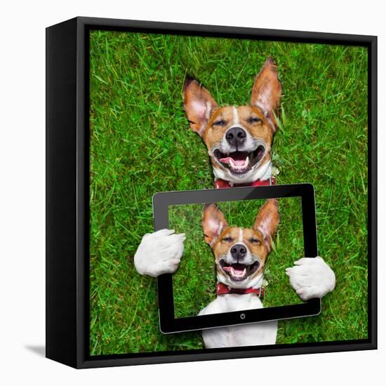 Very Funny Dog-Javier Brosch-Framed Stretched Canvas