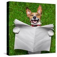 Very Funny Dog-Javier Brosch-Stretched Canvas