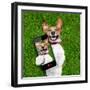 Very Funny Dog-Javier Brosch-Framed Photographic Print