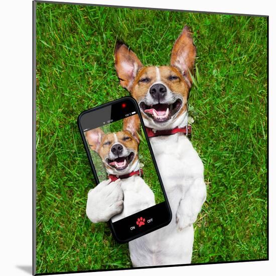Very Funny Dog-Javier Brosch-Mounted Photographic Print