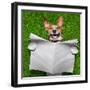 Very Funny Dog-Javier Brosch-Framed Photographic Print