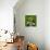 Very Funny Dog-Javier Brosch-Photographic Print displayed on a wall