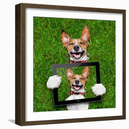 Very Funny Dog-Javier Brosch-Framed Photographic Print