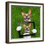 Very Funny Dog-Javier Brosch-Framed Photographic Print