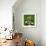 Very Funny Dog-Javier Brosch-Framed Photographic Print displayed on a wall