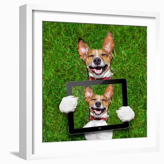 Very Funny Dog-Javier Brosch-Framed Photographic Print