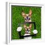 Very Funny Dog-Javier Brosch-Framed Photographic Print