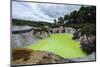 Very Green Acid Crater in the Wai-O-Tapu Thermal Wonderland, Waiotapu, North Island-Michael Runkel-Mounted Photographic Print