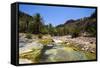 Very Green Pond in a Valley in the Dixsam Plateau on the Island of Socotra, Yemen, Middle East-Michael Runkel-Framed Stretched Canvas