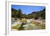 Very Green Pond in a Valley in the Dixsam Plateau on the Island of Socotra, Yemen, Middle East-Michael Runkel-Framed Photographic Print