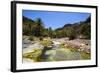 Very Green Pond in a Valley in the Dixsam Plateau on the Island of Socotra, Yemen, Middle East-Michael Runkel-Framed Photographic Print