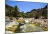 Very Green Pond in a Valley in the Dixsam Plateau on the Island of Socotra, Yemen, Middle East-Michael Runkel-Mounted Photographic Print