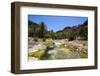 Very Green Pond in a Valley in the Dixsam Plateau on the Island of Socotra, Yemen, Middle East-Michael Runkel-Framed Photographic Print