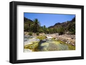 Very Green Pond in a Valley in the Dixsam Plateau on the Island of Socotra, Yemen, Middle East-Michael Runkel-Framed Photographic Print