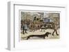 Very Long Dachshund Causes a Problem for Traffic When It Crosses the Road with His Owner-null-Framed Photographic Print