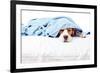 Very Much Sick Dog-igorr-Framed Photographic Print