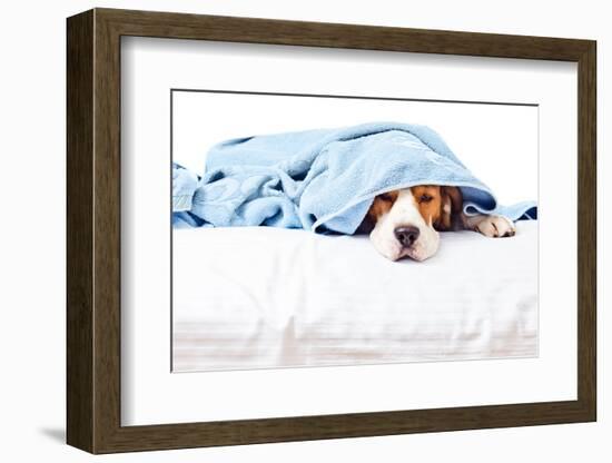 Very Much Sick Dog-igorr-Framed Photographic Print