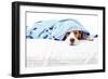 Very Much Sick Dog-igorr-Framed Photographic Print