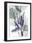 Very Peri Eucalyptus 1-Albert Koetsier-Framed Art Print