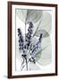 Very Peri Eucalyptus 2-Albert Koetsier-Framed Art Print