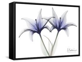 Very Peri Lily-Albert Koetsier-Framed Stretched Canvas