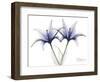 Very Peri Lily-Albert Koetsier-Framed Art Print