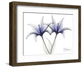 Very Peri Lily-Albert Koetsier-Framed Art Print