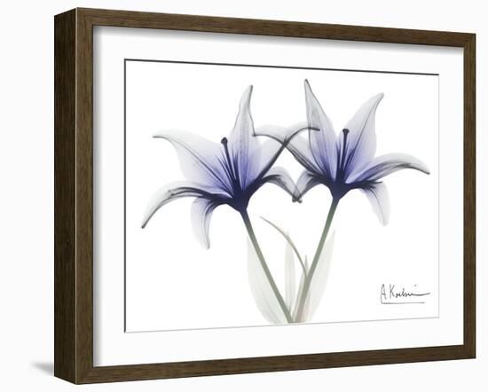 Very Peri Lily-Albert Koetsier-Framed Art Print