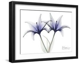 Very Peri Lily-Albert Koetsier-Framed Art Print