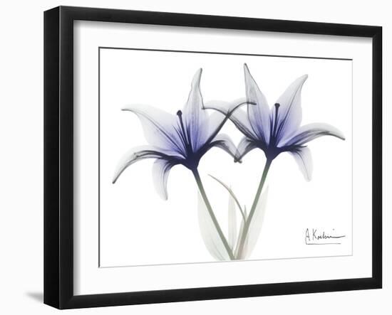 Very Peri Lily-Albert Koetsier-Framed Art Print