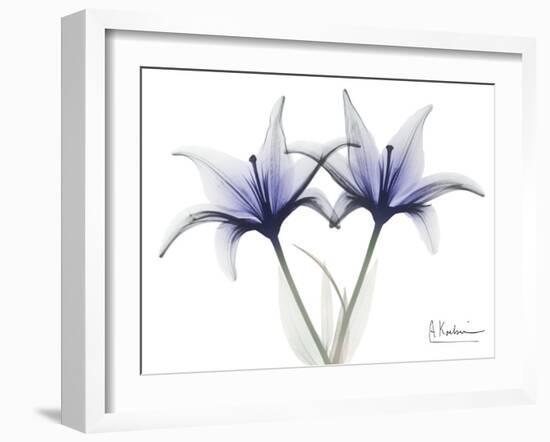 Very Peri Lily-Albert Koetsier-Framed Art Print