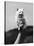 Very Small Dog Being Held Up by One Hand-Alfred Eisenstaedt-Stretched Canvas