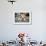 Very Tired English Bulldog-Matt Freedman-Framed Photographic Print displayed on a wall
